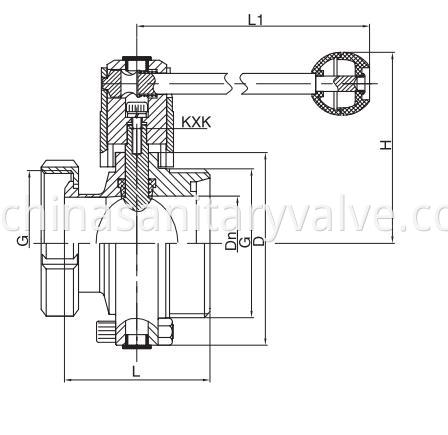 sanitary butterfly valves male and nut end DIN